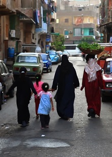 جائزة النيل الكبري